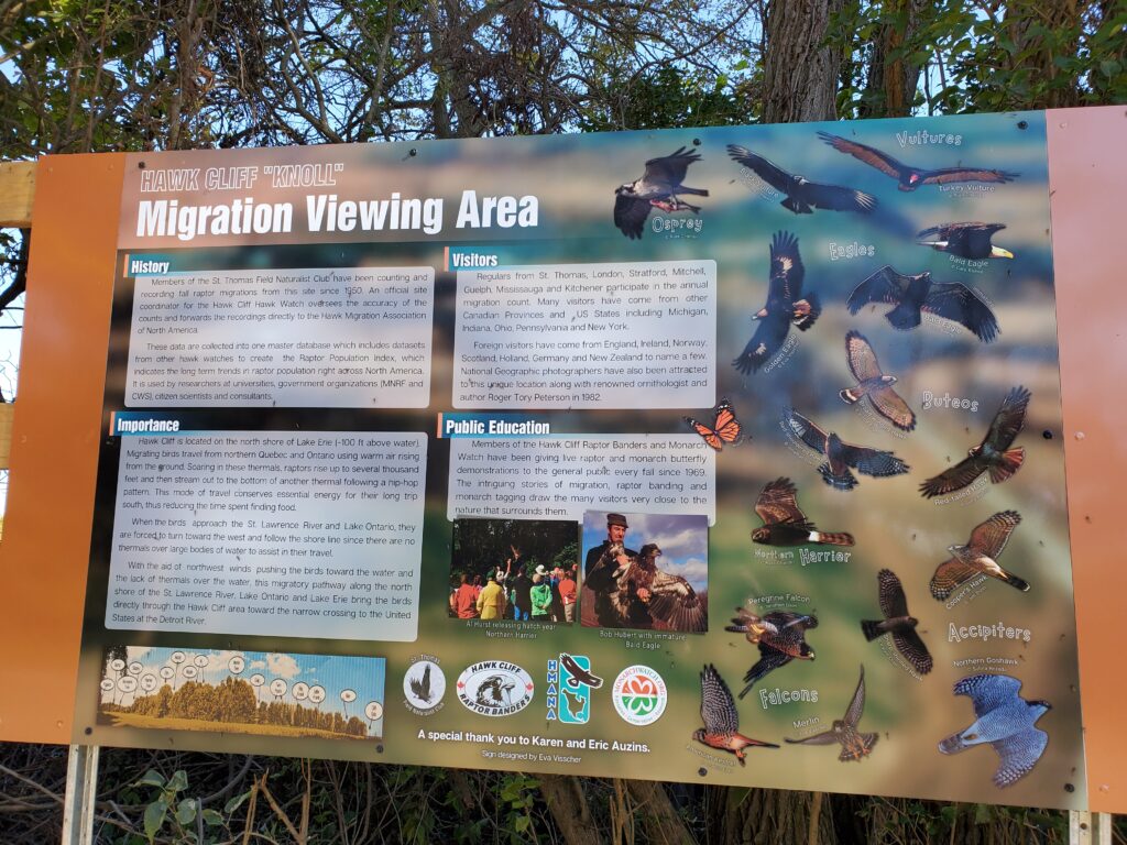 Hawk Cliff information board with history and photos of 16 bird species including Eagles, Osprey, Vultures, Falcons and others. 
