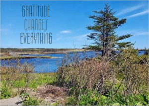 Meme of a lake in Port Aux Basques, Newfoundland, and the words: Gratitude Changes Everything.