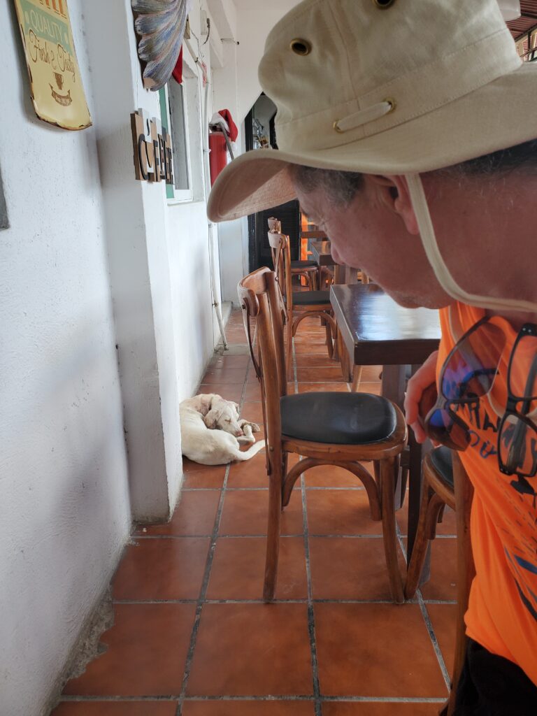 A little white dog on a terra cotta tile floor with Derek in the right corner looking at him. 