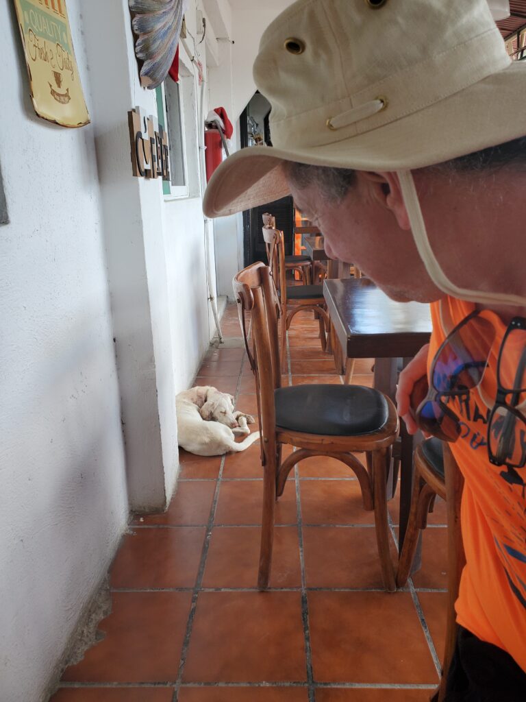 A little white dog on a terra cotta tile floor with Derek in the right corner looking at him.