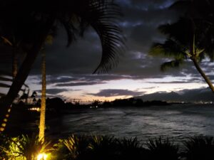 spectacular yellow tinged sunset with palm trees in the foreground