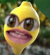 Annoyed lemon. A lemon with a woman's eyes and mouth in it.