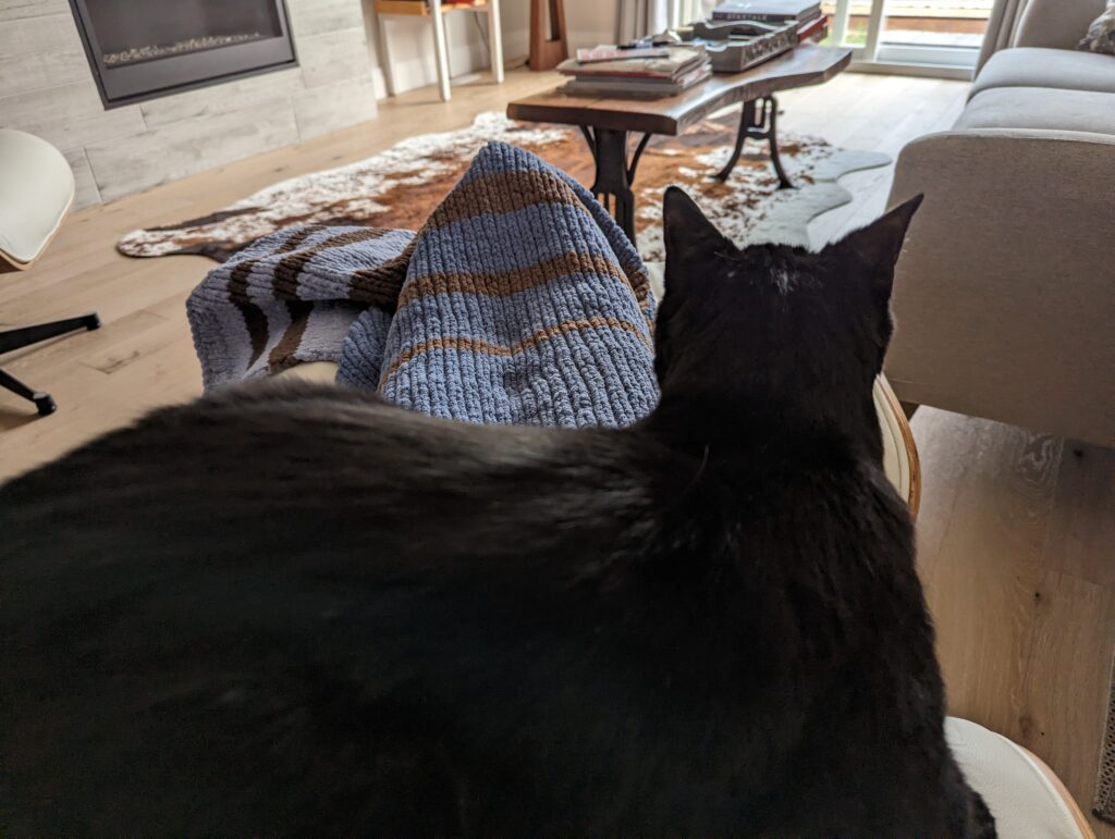 Cuddles laying sideways on my legs which have a blue blanket over them. We can see that he has a view out the patio doors. 