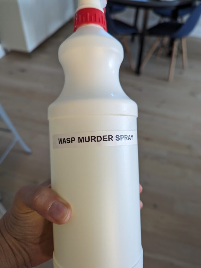 My hand holding a white spray bottle with a label that reads: wasp murder spray.