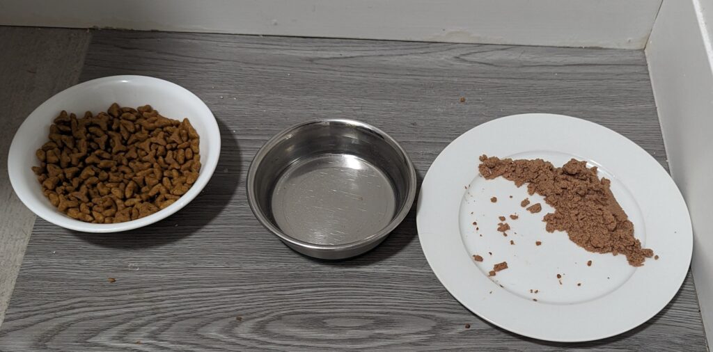 Cuddles' bowls. Kibble on the left, water in the middle, and a small plate with hardly any wet food left on the right.