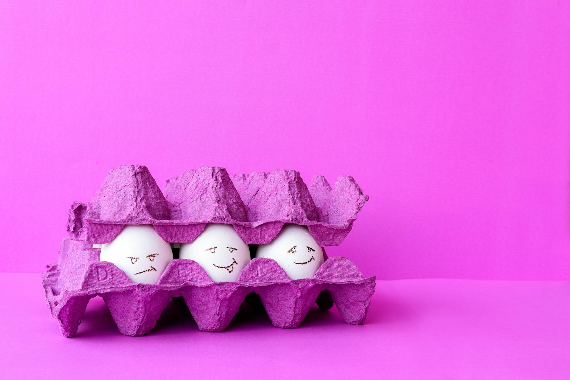 eggs on a tray in close up photography