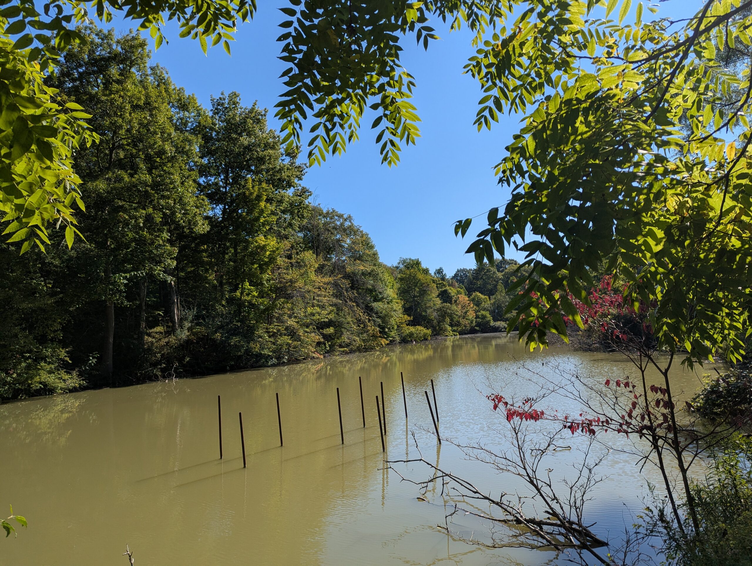 Long view of the water at the club with thick trees lining either side