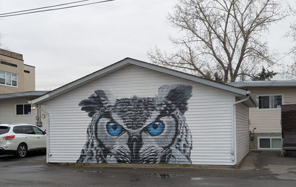 An owl drawn as graffiti on a garage wall. In black and white with piercing blue eyes. 