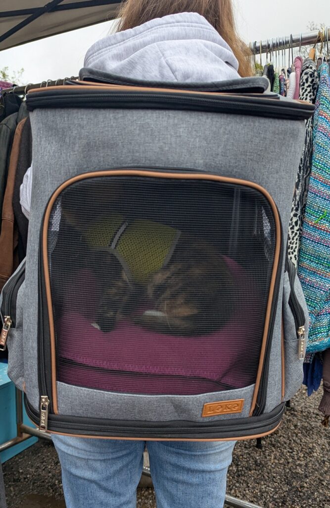 Woman with a large backpack that has a mesh screen where you can see a kitten inside